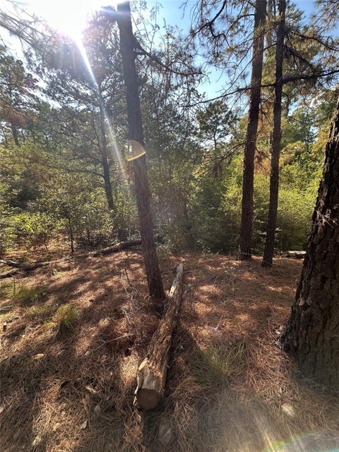 Photo of 0 Pine Oak DR, Bastrop, TX 78602 (MLS # 1179148)