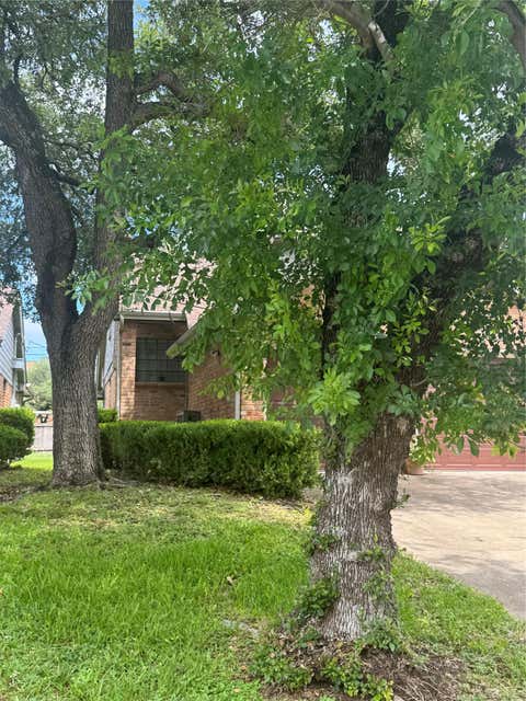 Tiny photo for 8502 Cima Oak LN #A, Austin, TX 78759 (MLS # 6197202)
