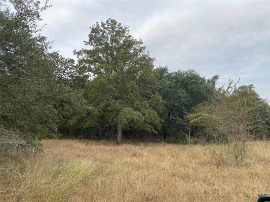 TBD COUNTY ROAD 405, BUCKHOLTS, TX 76518 - Image bbbfc46f07734b0848dff7d67a6984c9/3677949382