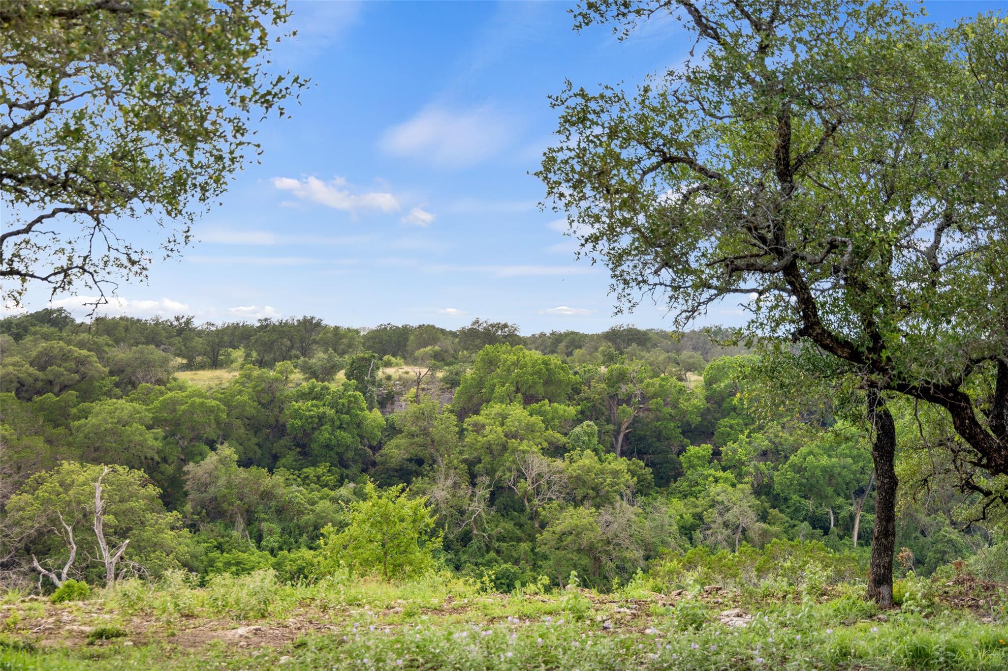 Lot 7 Pedernales Canyon TRL Lot 7