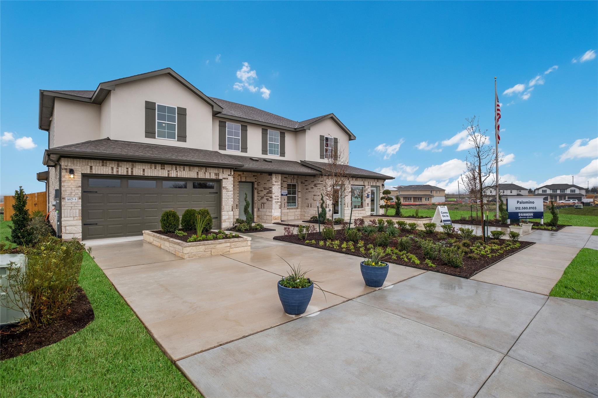 15100-B Welsh Cob RD
