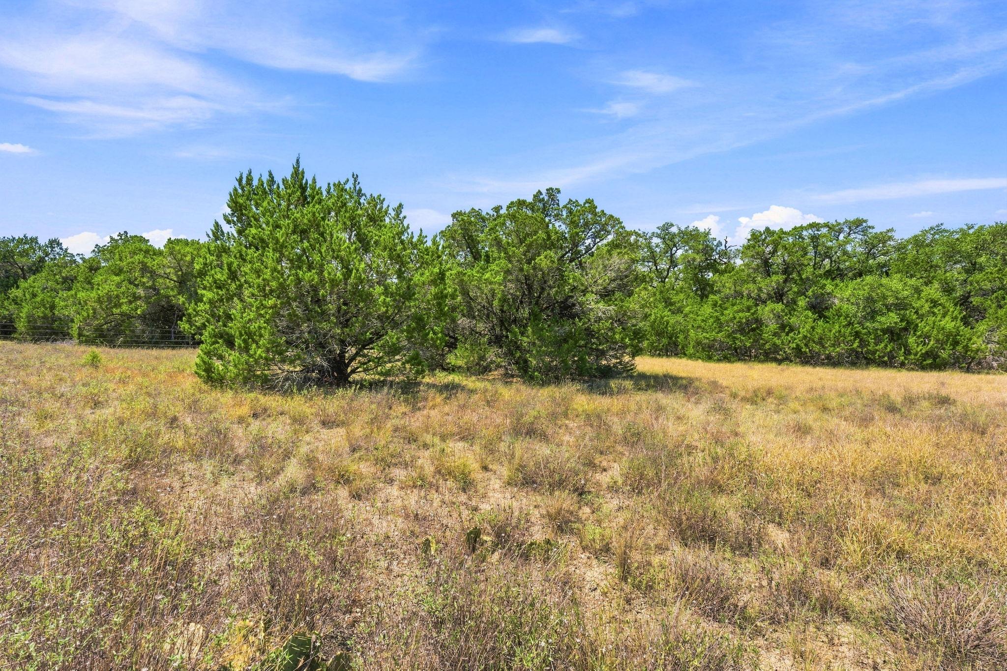 TBD 22.5 Ac Lipan RUN