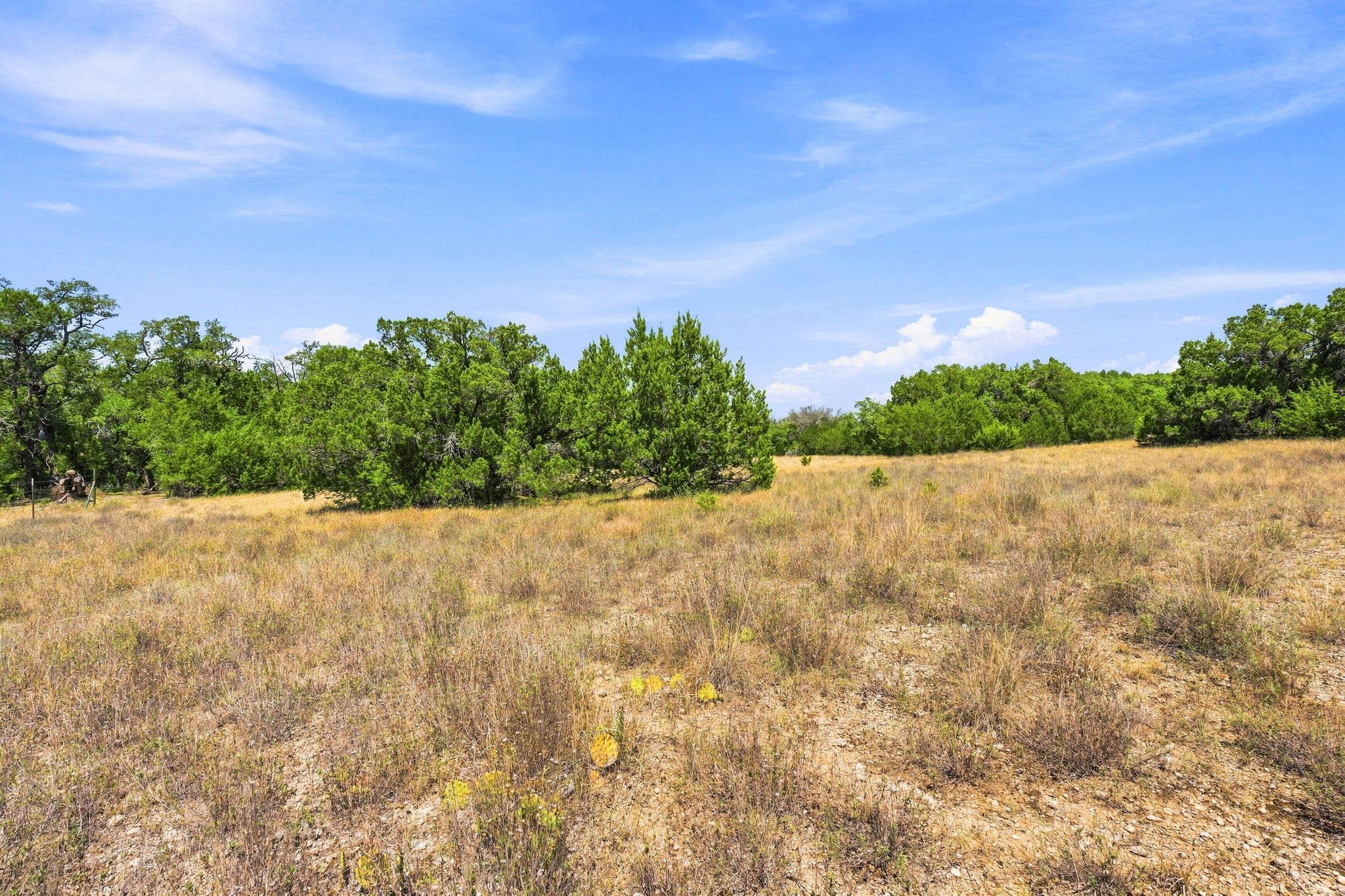TBD 22.5 Ac Lipan RUN