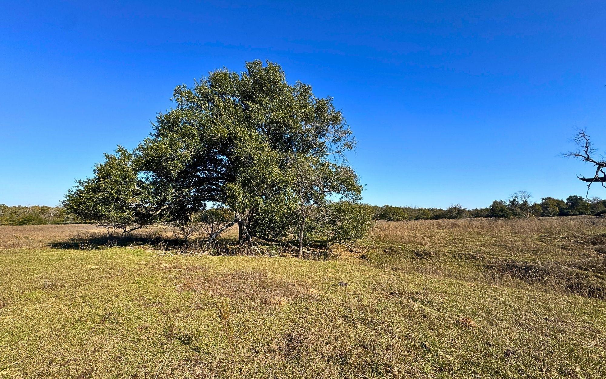 4834 Old Boone Prairie (107.53 acres) Road