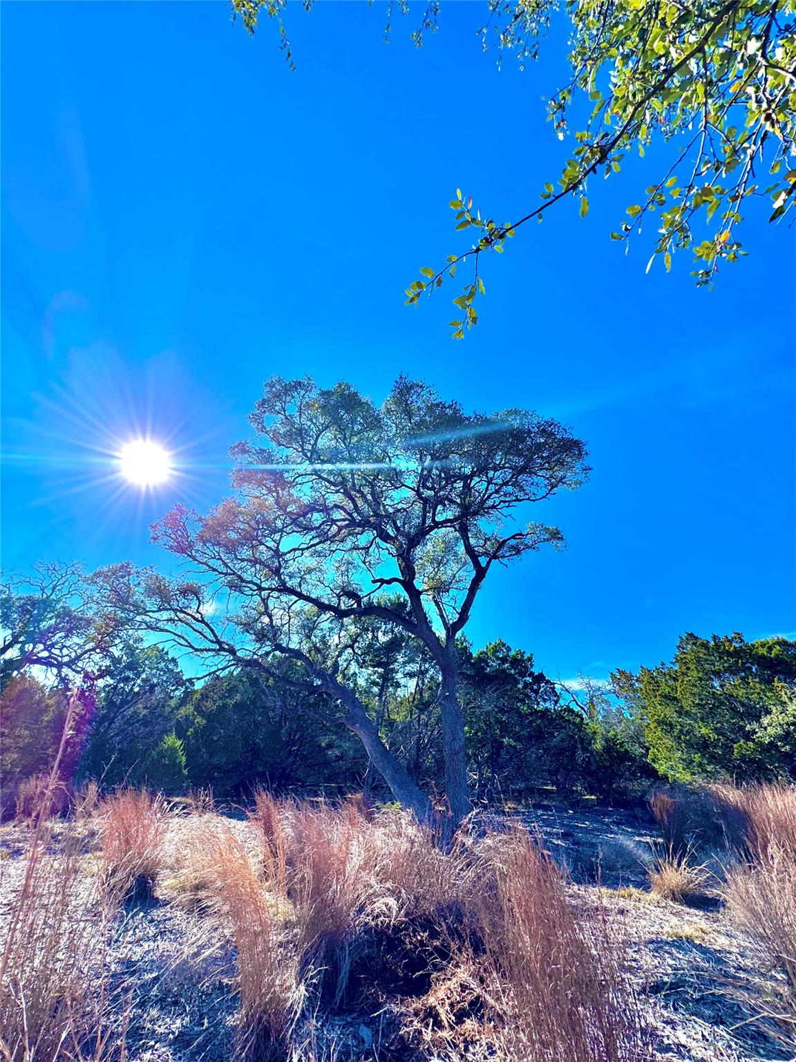 TBD tract  91 Citadel DR