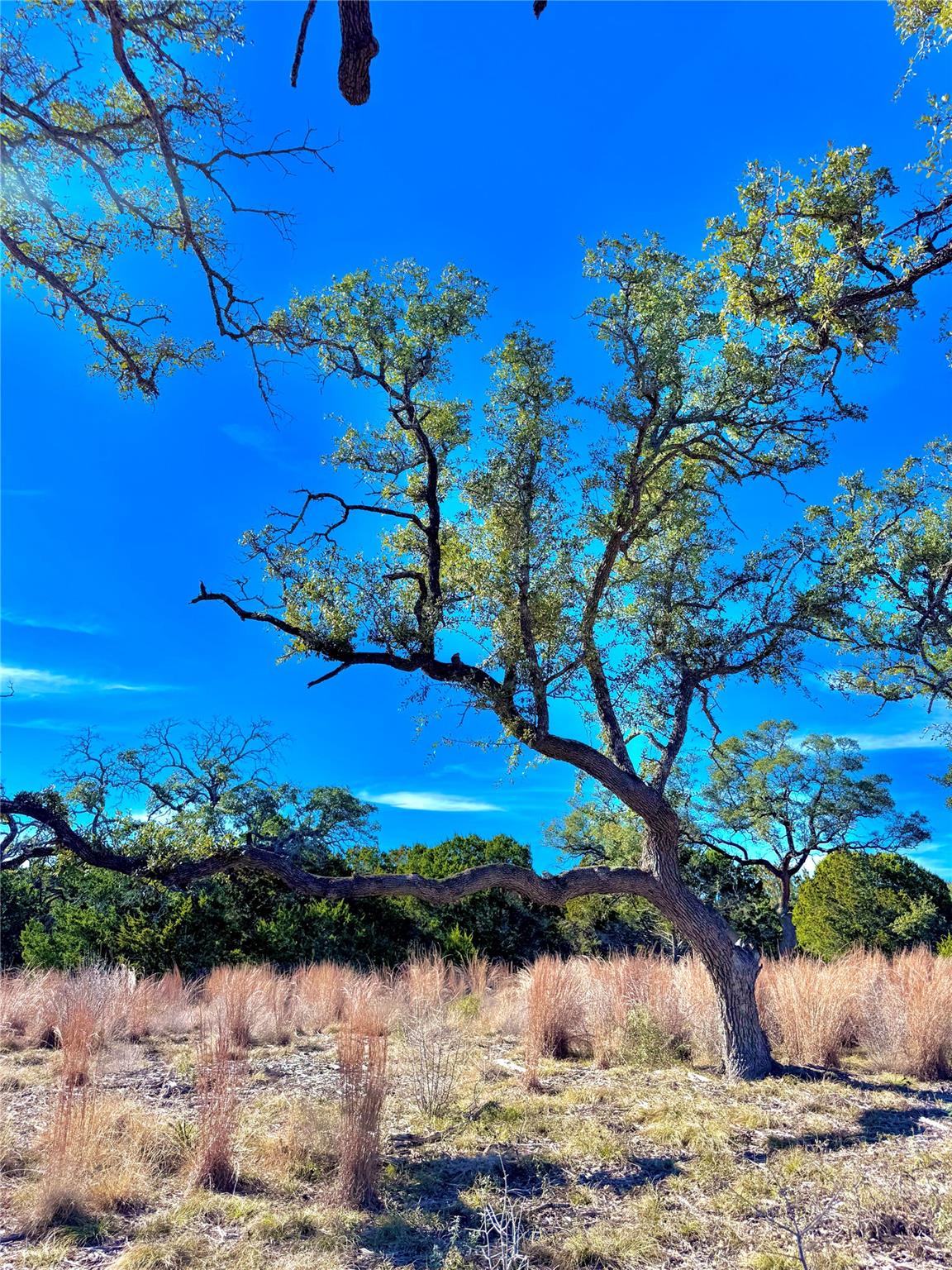 TBD tract  91 Citadel DR