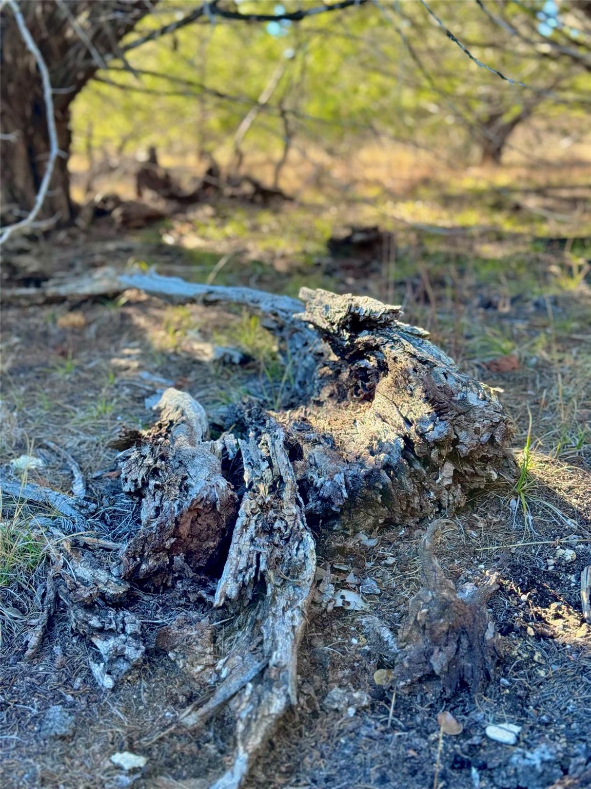 TBD tract  91 Citadel DR