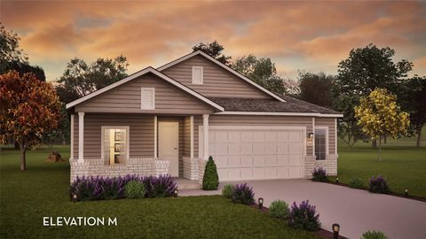 204 Quail Convey DR Jarrell TX 76537