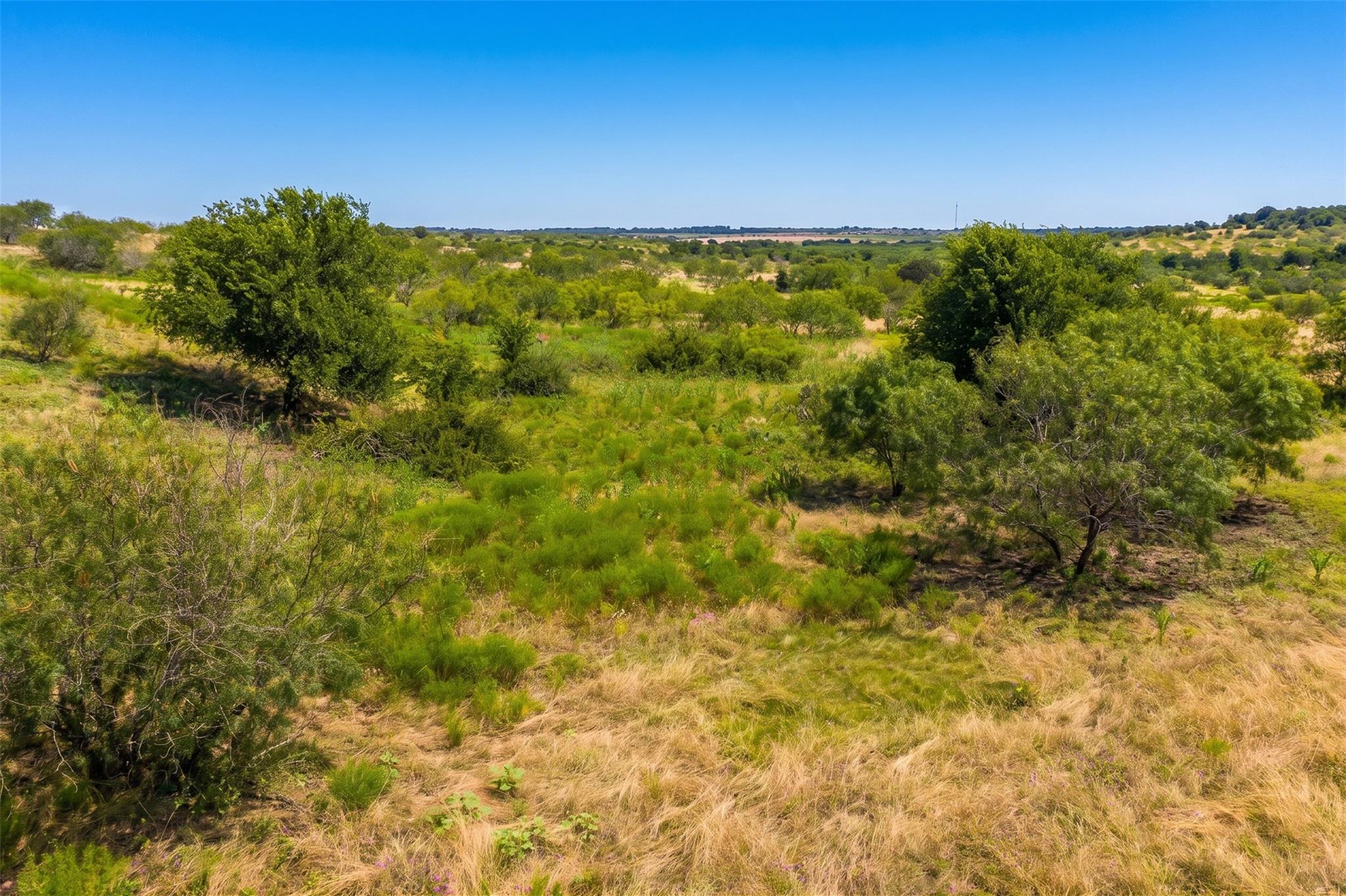 1854 LOT 4 County Road 104