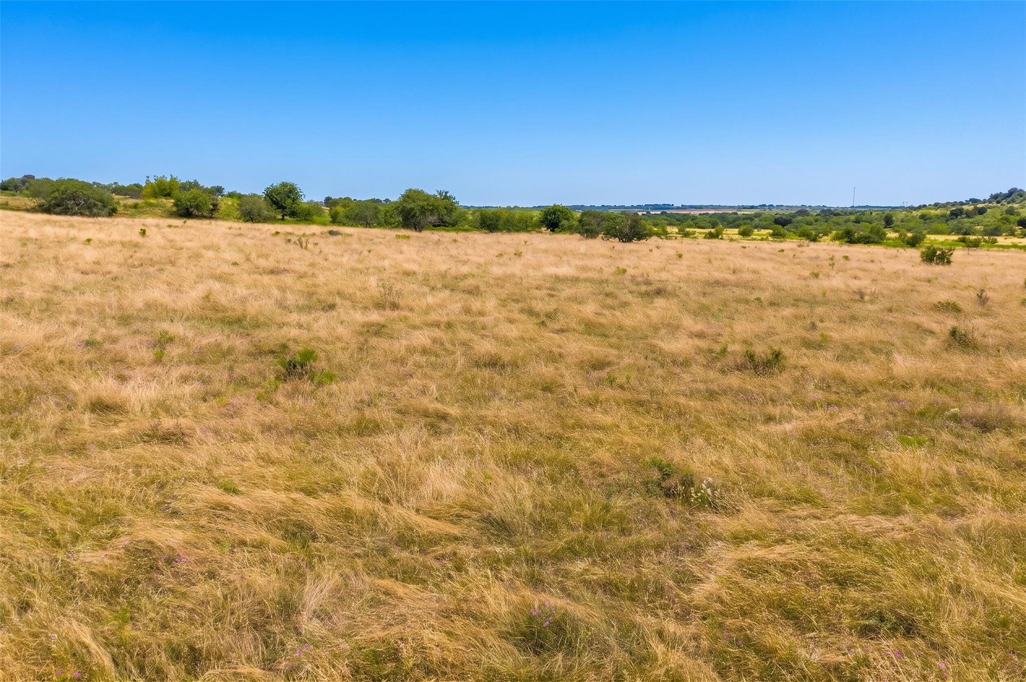 1854 LOT 4 County Road 104