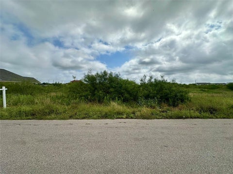 Photo of 175 El Dorado DR, Kyle, TX 78640 (MLS # 8025807)