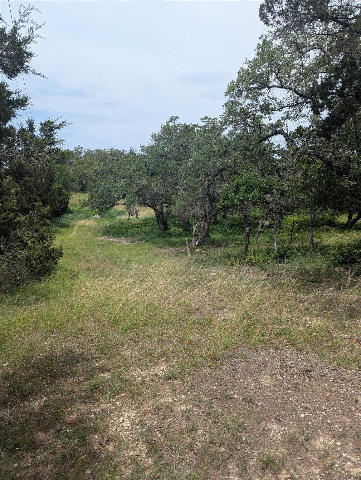 Lot 2 Hamilton Pool RD