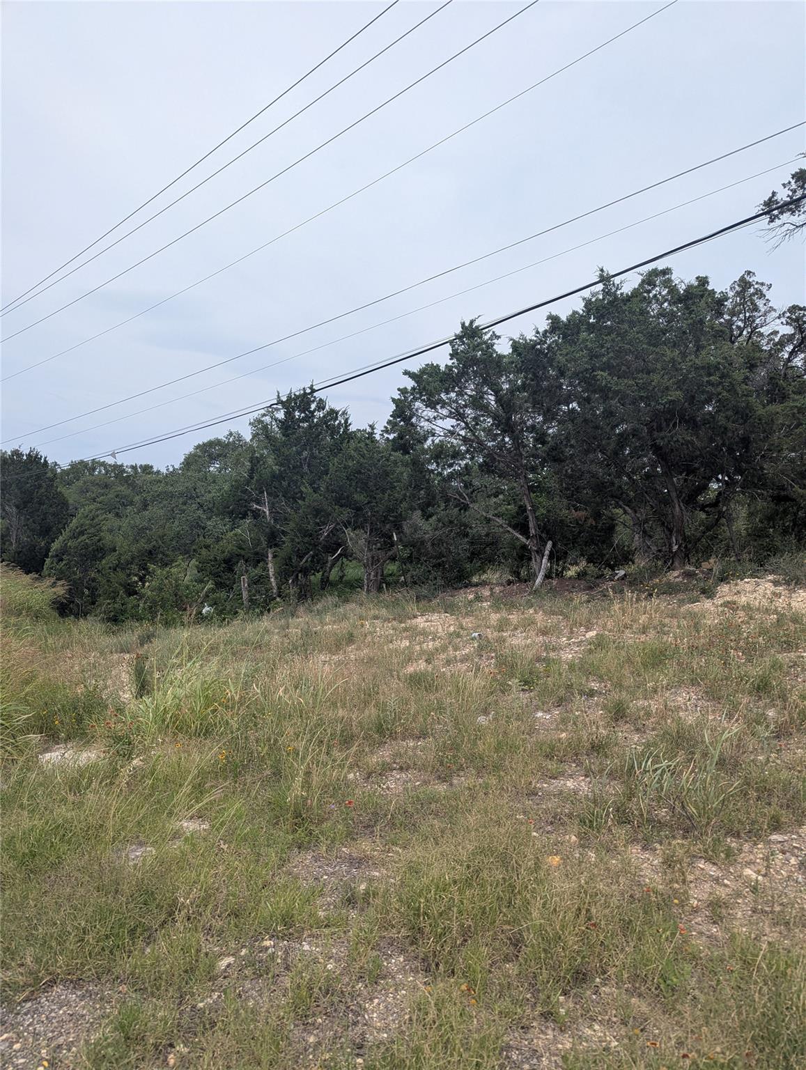 Lot 2 Hamilton Pool RD
