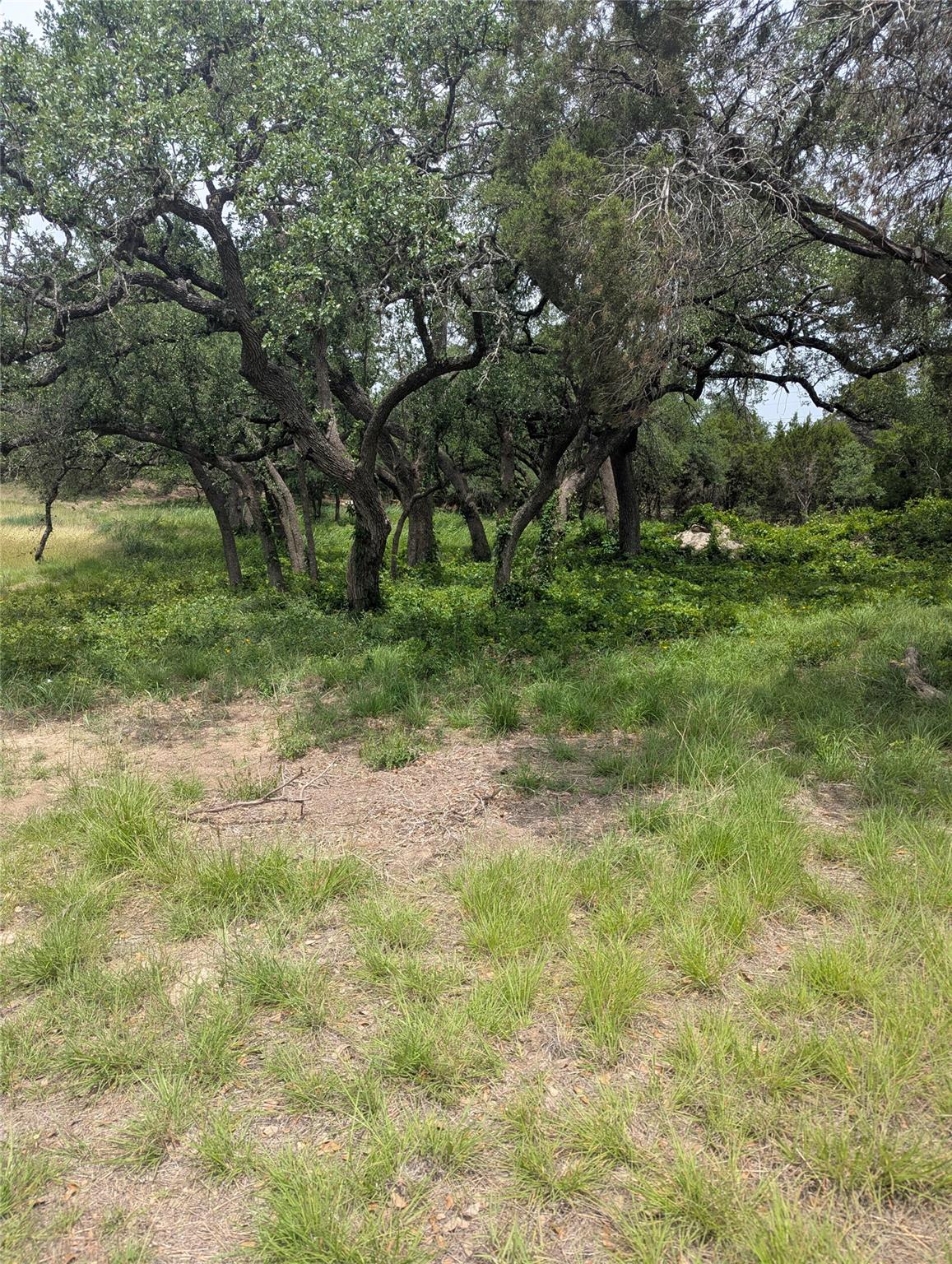Lot 2 Hamilton Pool RD