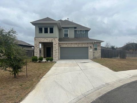 Photo of 343 Silver Glen DR, Kyle, TX 78640 (MLS # 3846621)