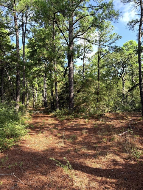 Photo of TBD Marlin ST, McDade, TX 78650 (MLS # 4971440)