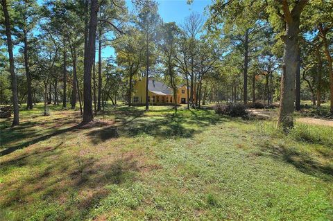 A home in Bastrop