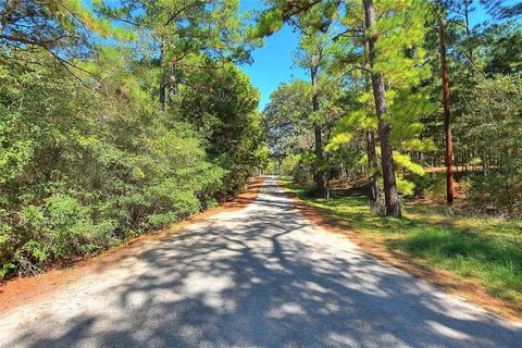 A home in Bastrop