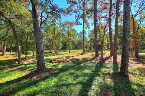 A home in Bastrop