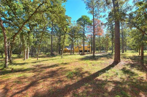 A home in Bastrop