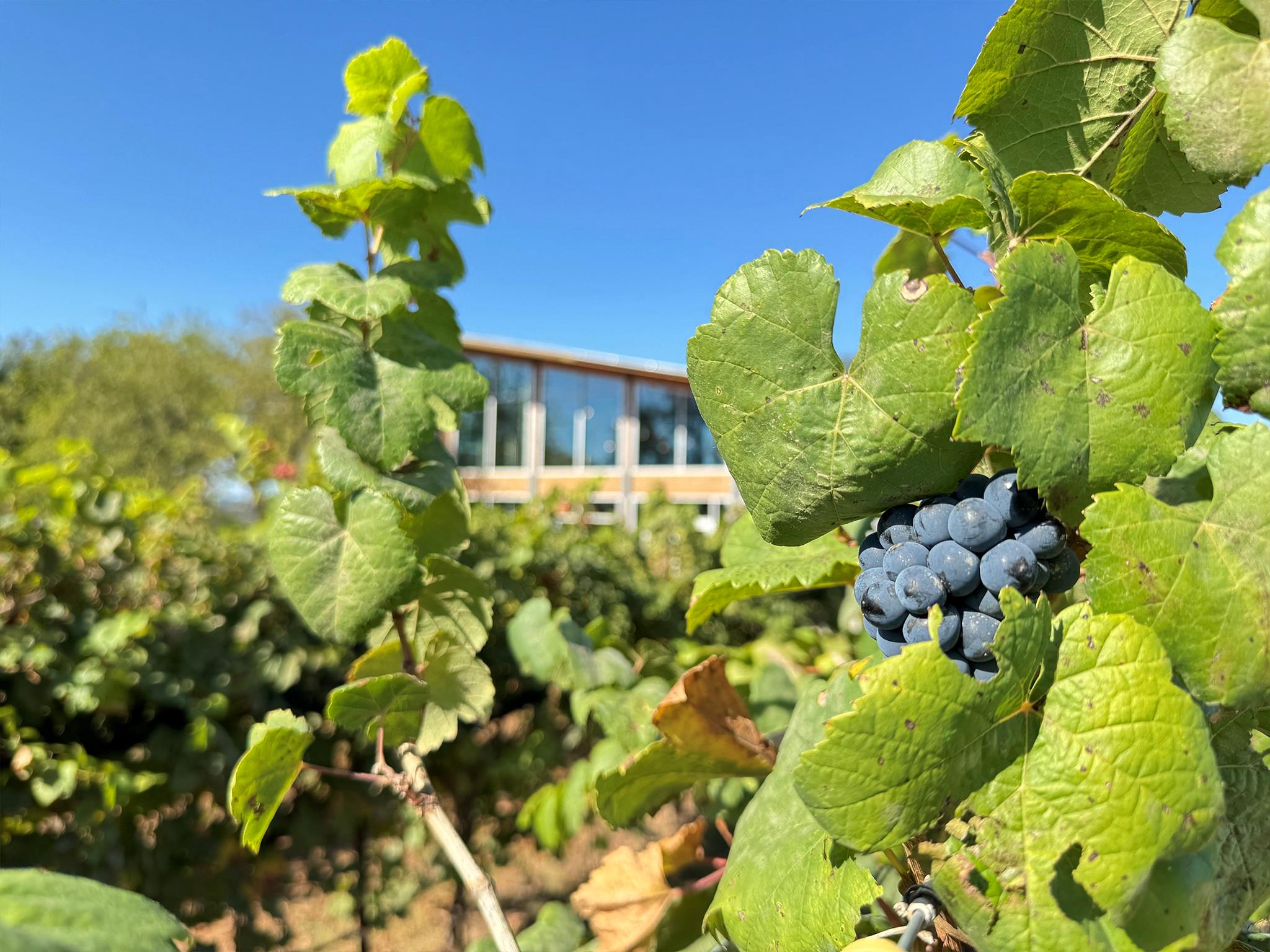 9361 W Us Highway 290 5