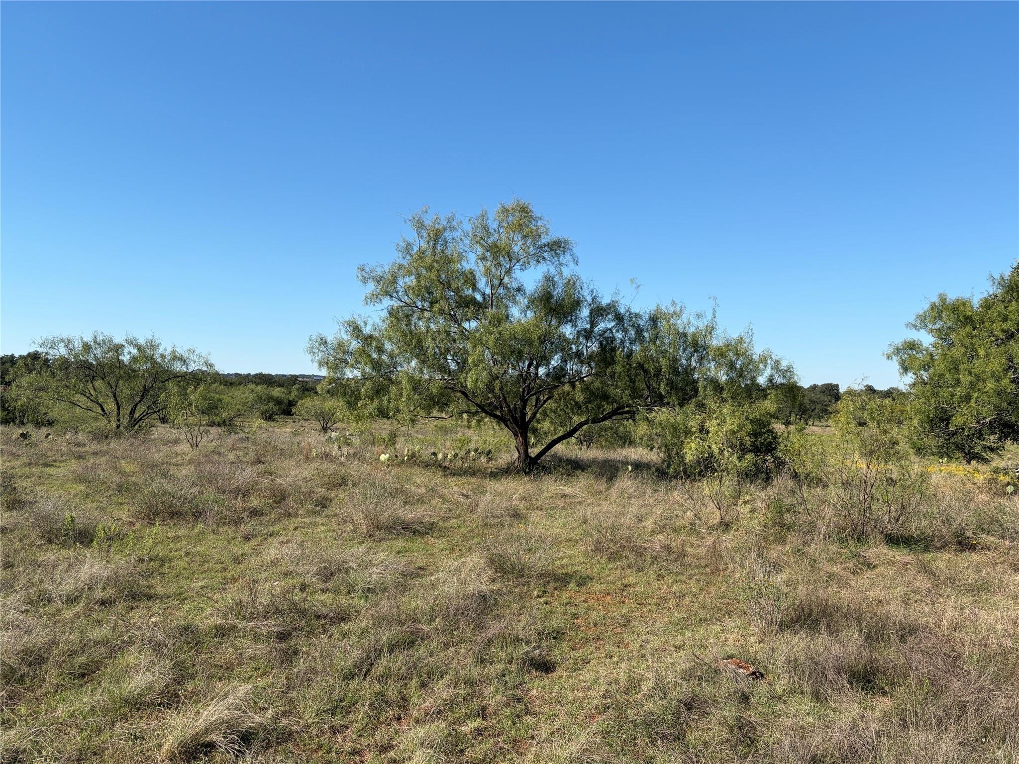 2965 Old Marble Falls RD