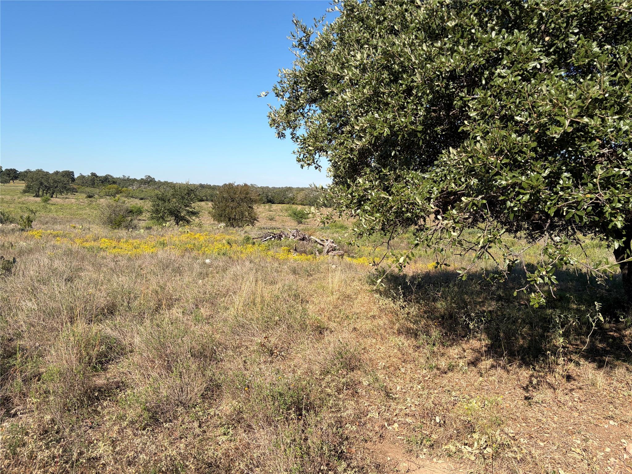 2965 Old Marble Falls RD