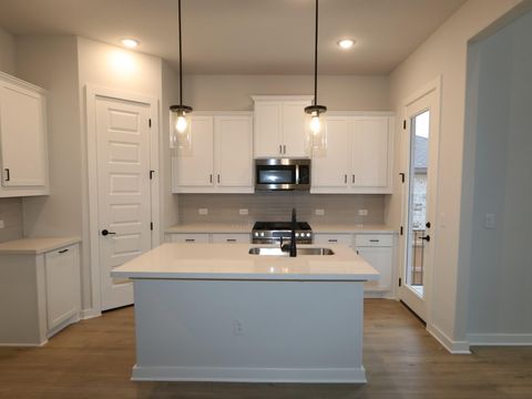 Tiny photo for 20009 Aqua Reef DR, Austin, TX 78747 (MLS # 1513615)