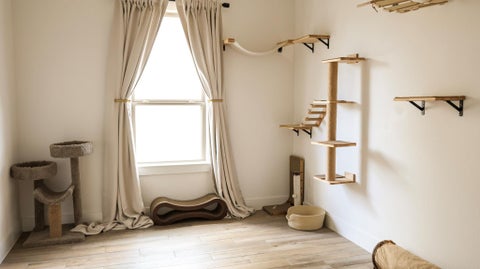 Tiny photo for 8504 Ambergill CT, Austin, TX 78744 (MLS # 1042711)