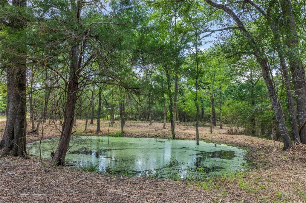 TBD Weber RD