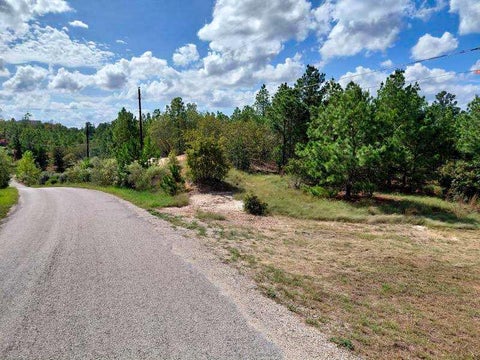 Photo of Lot 3 Tall Forest DR, Bastrop, TX 78602 (MLS # 8769483)