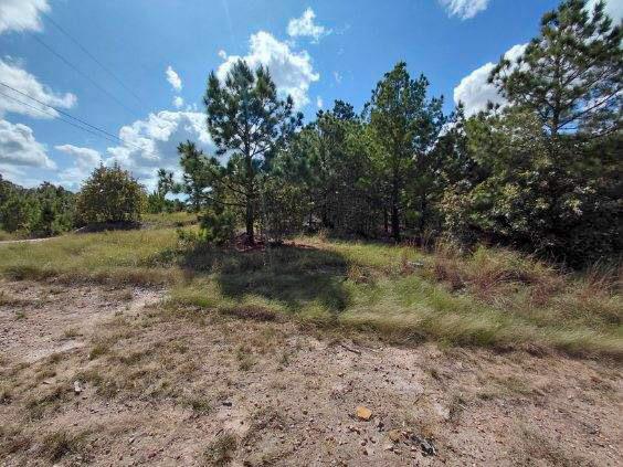 Lot 3 Tall Forest DR