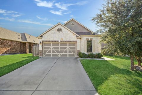 Photo of 907 Thrasher Glade DR, Pflugerville, TX 78660 (MLS # 6674919)