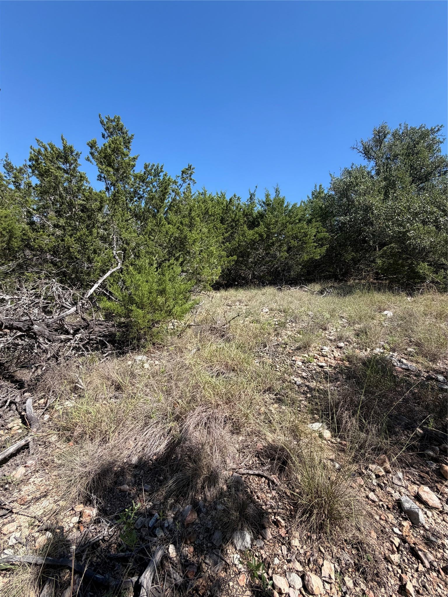 TBD Tract 28 Brooklyn DR