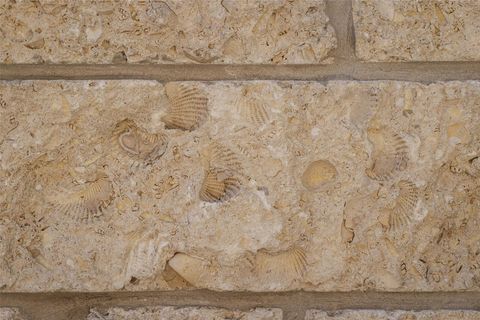 Tiny photo for 3500 Pecan Springs RD #10, Austin, TX 78723 (MLS # 5129222)