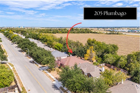 Photo of 205 Plumbago DR, Pflugerville, TX 78660 (MLS # 3197573)