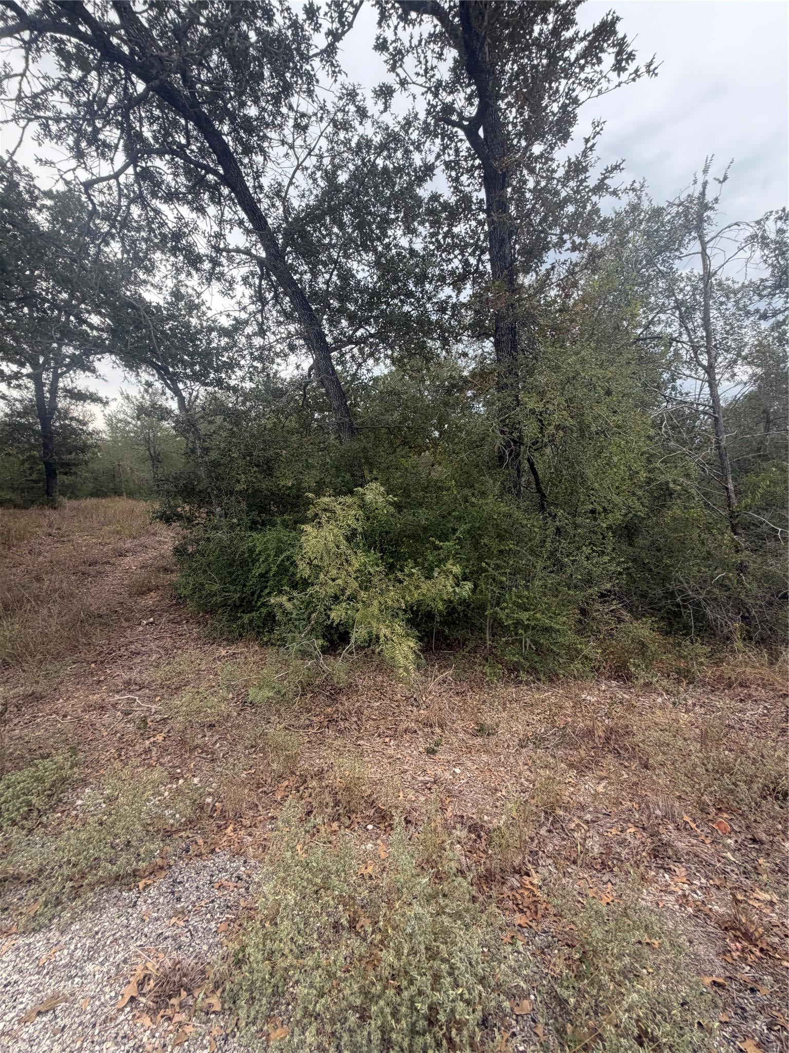 4 Lots Mokulua Mokuleia CIR