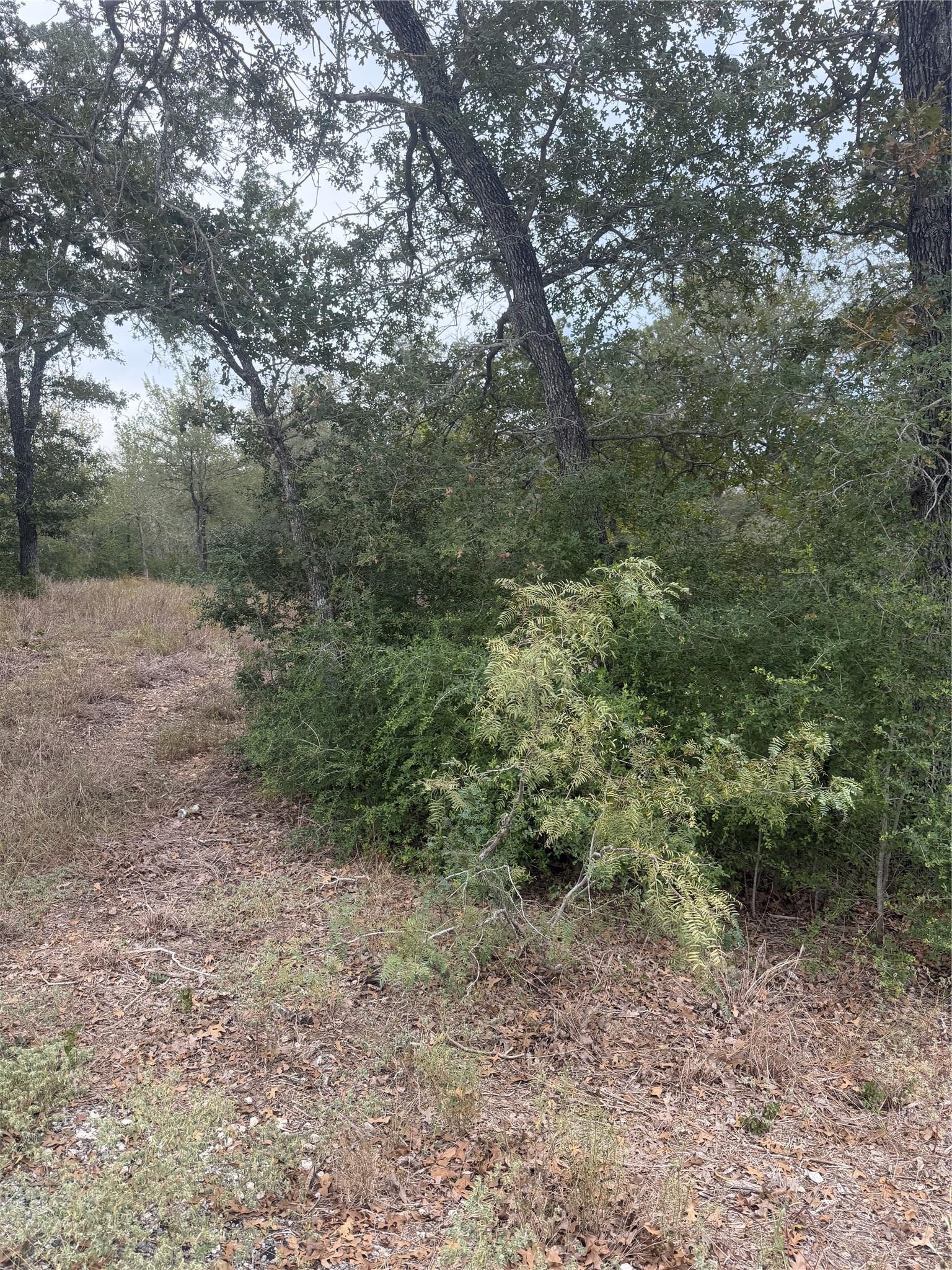 4 Lots Mokulua Mokuleia CIR