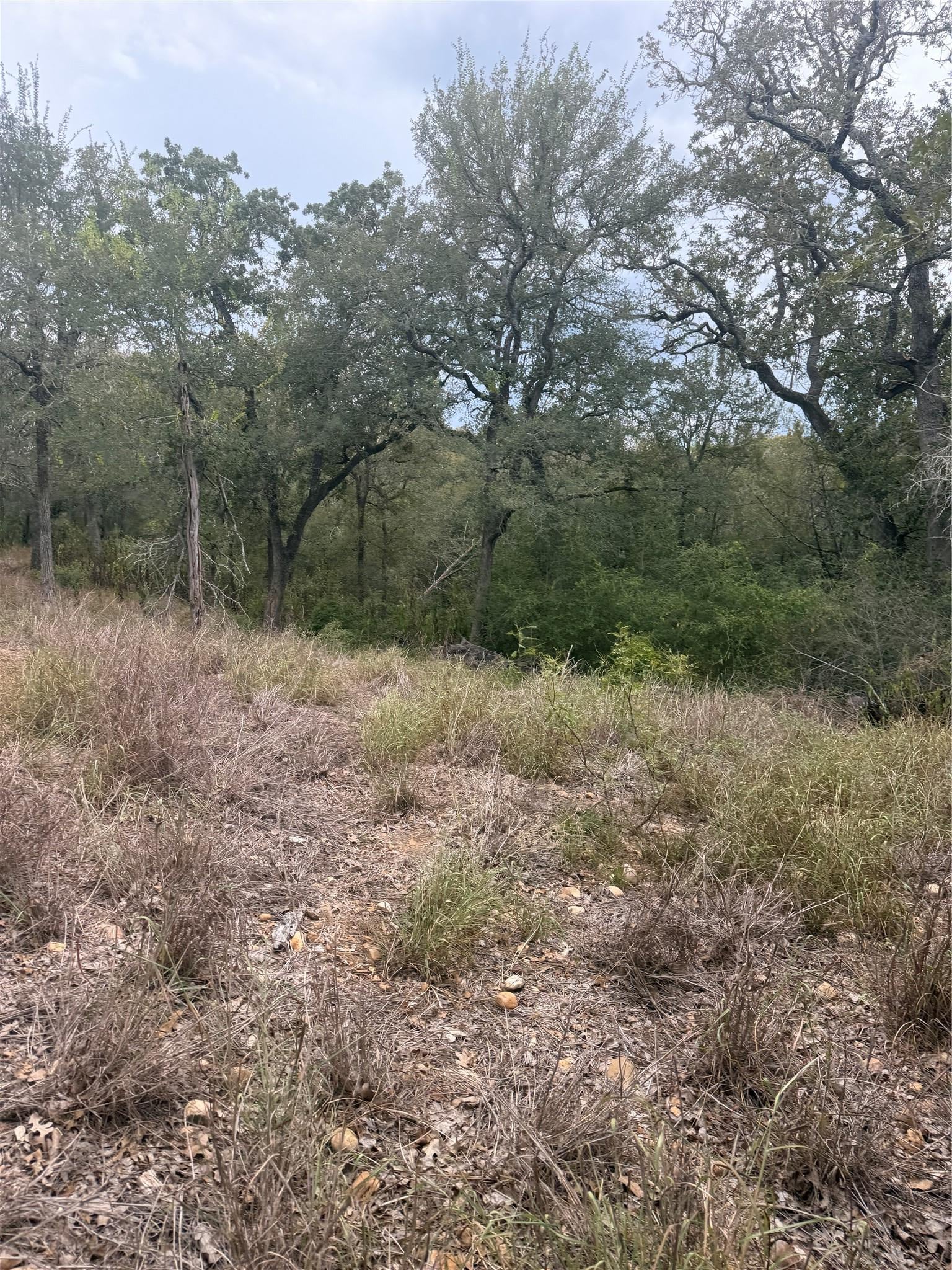 4 Lots Mokulua Mokuleia CIR