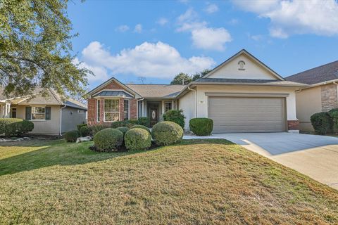 265 Trail Of The Flowers Georgetown TX 78633