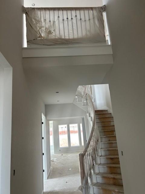 5341 Cosenza Trace