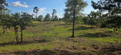Photo of 400 McAllister RD, Bastrop, TX 78602 (MLS # 2870539)
