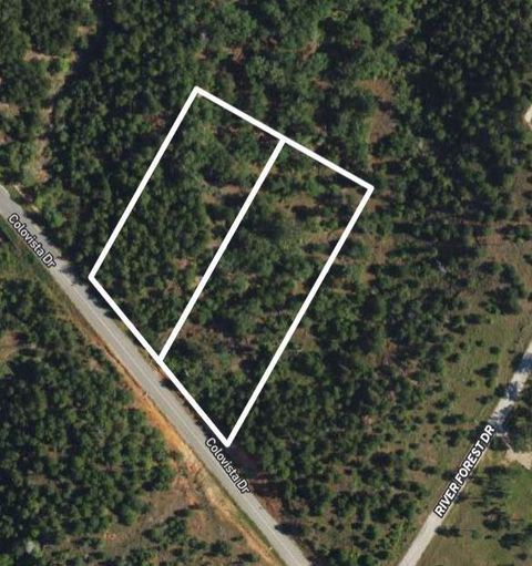 Photo of TBD - Lots 2 & 3 Colovista DR, Bastrop, TX 78602 (MLS # 2780780)
