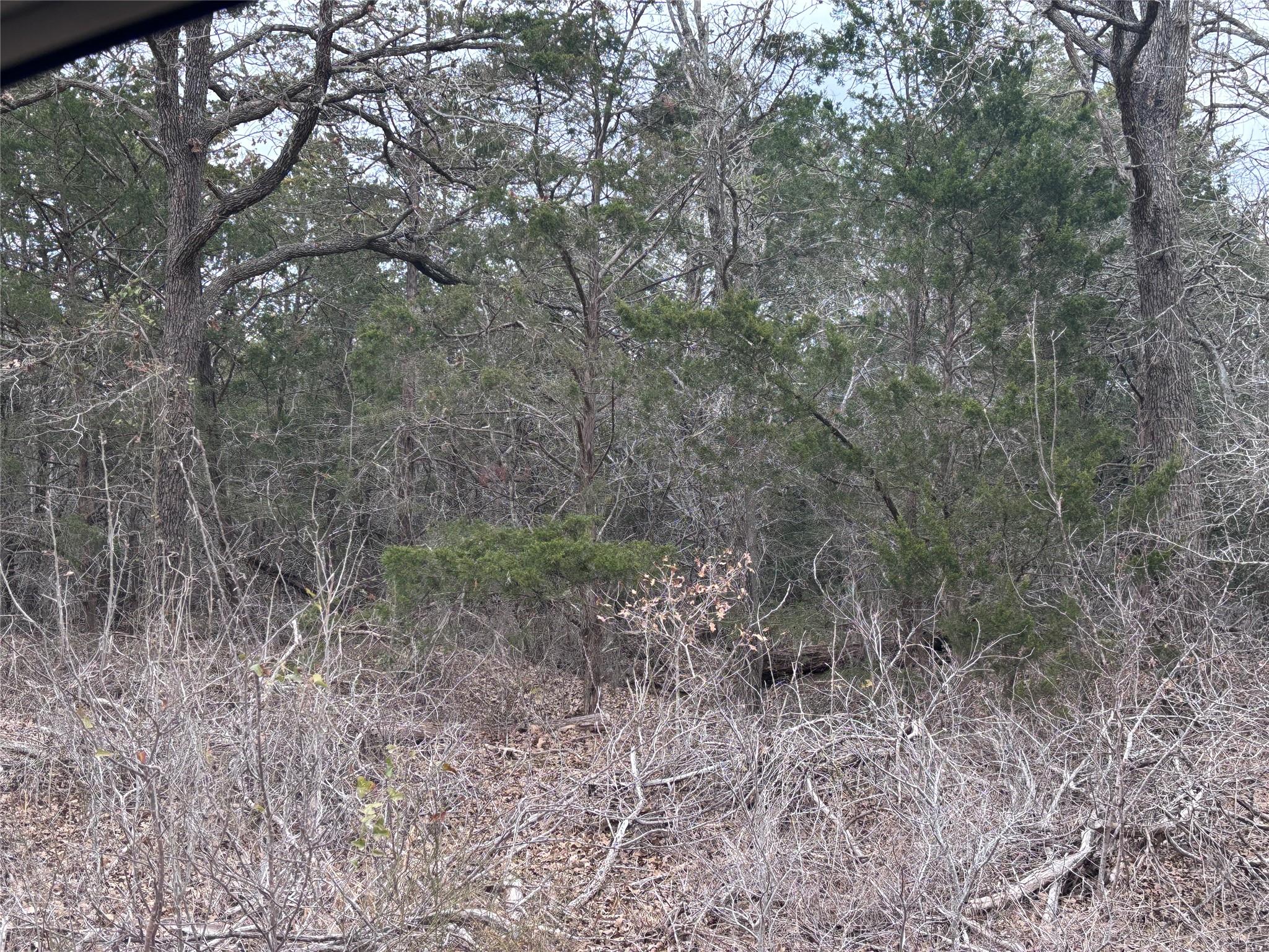TBD Pearson RD