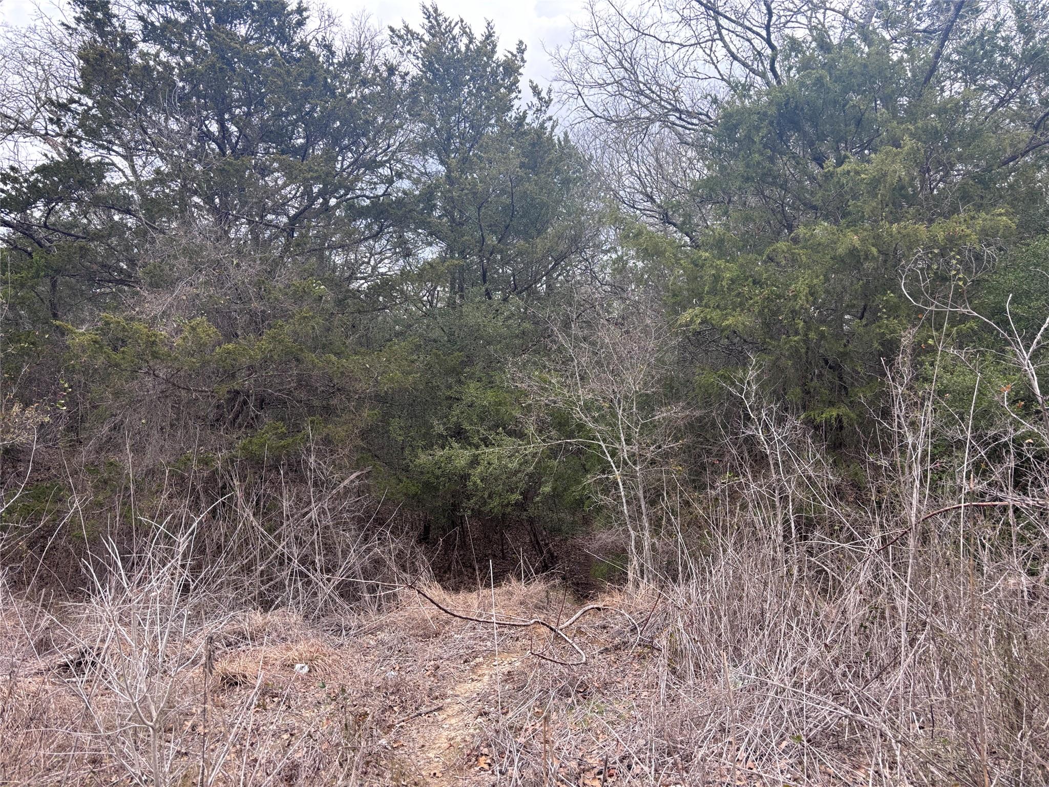 TBD Pearson RD