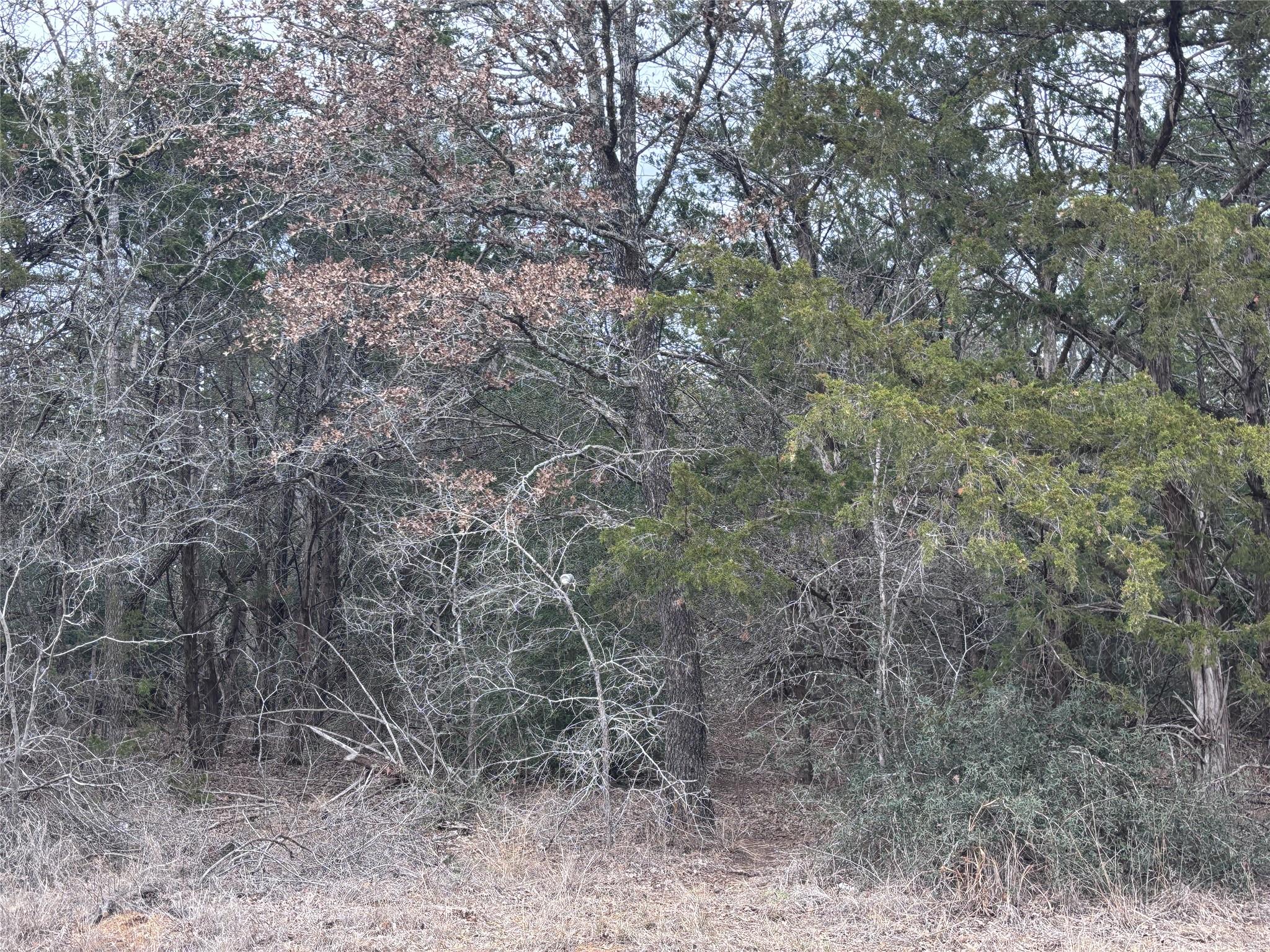TBD Pearson RD