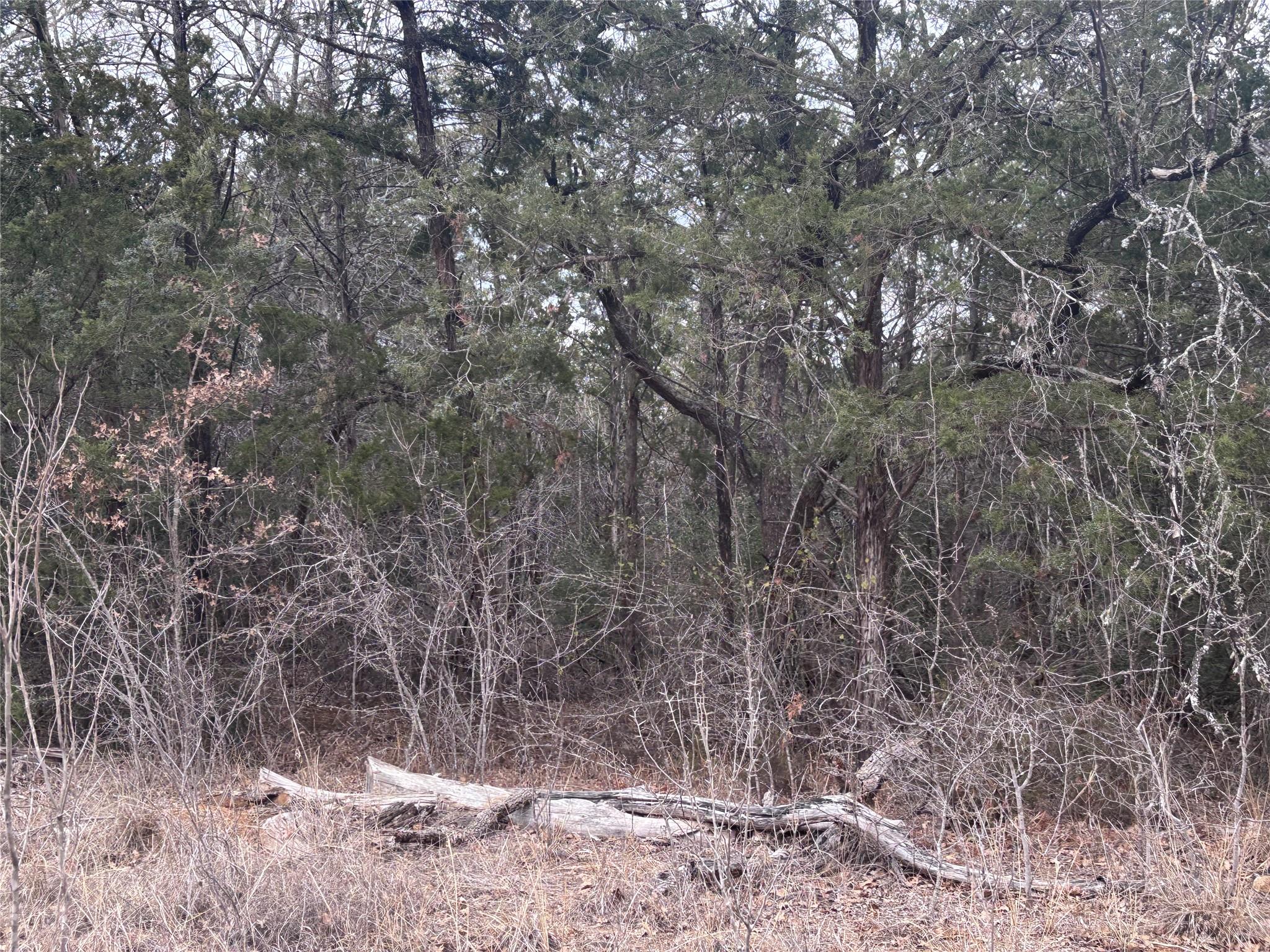TBD Pearson RD