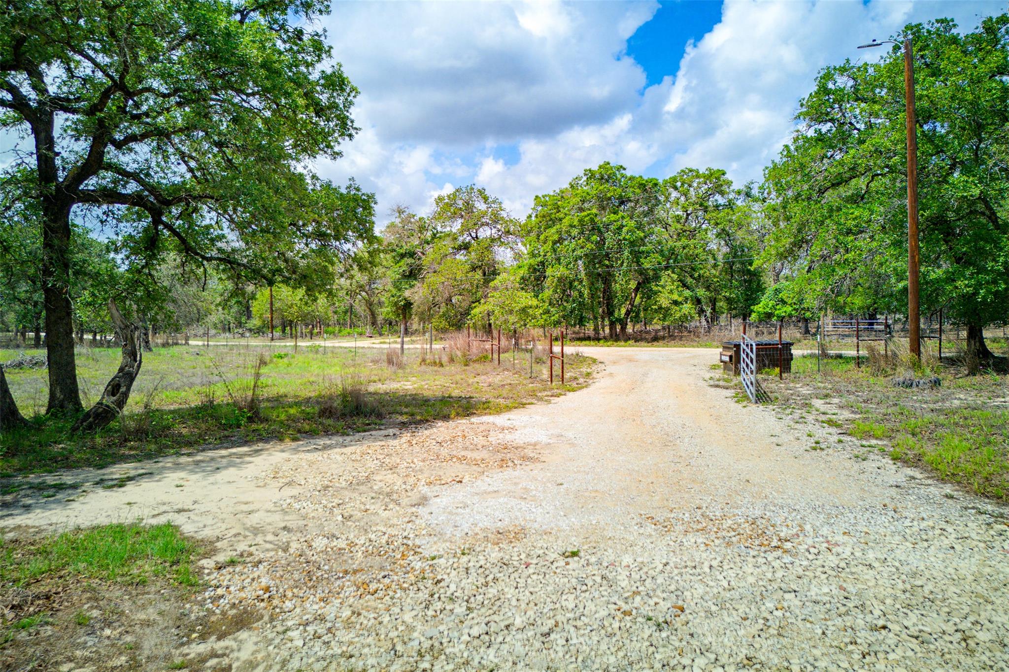 501 Turkey Tree TRL
