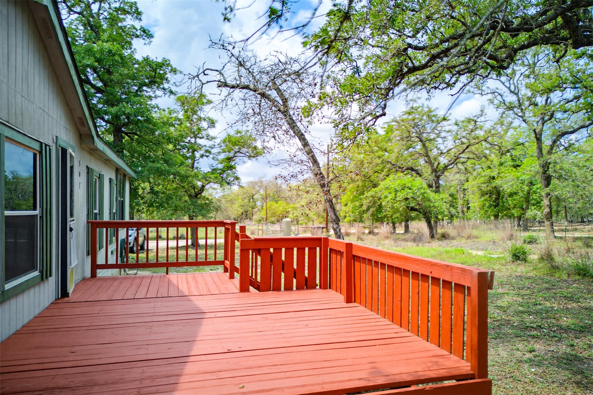 501 Turkey Tree TRL
