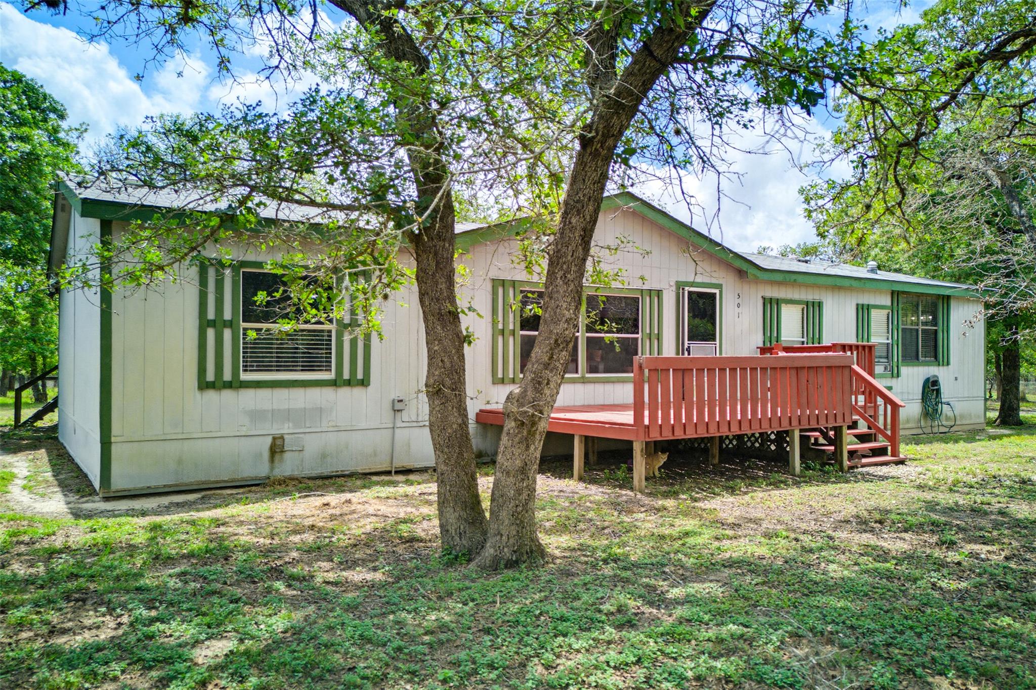 501 Turkey Tree TRL